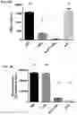 Fig. 09 - LIPOPROTEIN TARGETING PROTEASE INHIBITORS AND USES