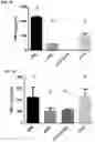 Fig. 10 - LIPOPROTEIN TARGETING PROTEASE INHIBITORS AND USES