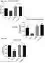 Fig. 12 - LIPOPROTEIN TARGETING PROTEASE INHIBITORS AND USES