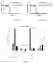 Fig. 04 - Immunoproteasome inhibitor