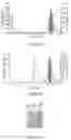 Fig. 06 - Immunoproteasome inhibitor