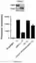 Fig. 15 - Soluble mediator