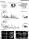 Fig. 12 - Method for blocking stress-induced tumor progression