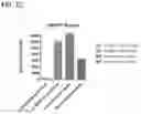 Fig. 03 - DPEP-1 binding compositions and methods of use