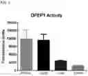 Fig. 04 - DPEP-1 binding compositions and methods of use