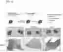 Fig. 23 - DPEP-1 binding compositions and methods of use