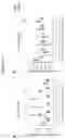 Fig. 14 - Methods and kits for treating pain