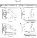 Fig. 28 - Methods and kits for treating pain