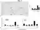 Fig. 08 - Methods and compositions for treating liver disease