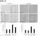 Fig. 10 - Methods and compositions for treating liver disease