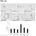 Fig. 11 - Methods and compositions for treating liver disease
