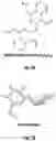 Fig. 02 - COMPOSITIONS AND METHODS TO PREVENT AND TREAT BIOFILMS