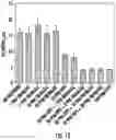 Fig. 19 - COMPOSITIONS AND METHODS TO PREVENT AND TREAT BIOFILMS