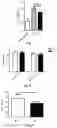 Fig. 04 - Method for treating coronary atherosclerosis and complications thereof