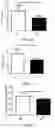Fig. 05 - Method for treating coronary atherosclerosis and complications thereof