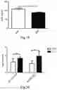 Fig. 08 - Method for treating coronary atherosclerosis and complications thereof