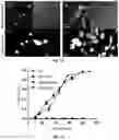 Fig. 13 - Activatable two-component photosensitizers