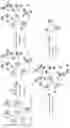 Fig. 15 - Activatable two-component photosensitizers