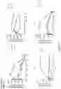 Fig. 08 - Epidermal growth factor receptor (EGFR) targeted photosensitizers