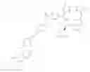 Fig. 116 - Epidermal growth factor receptor (EGFR) targeted photosensitizers