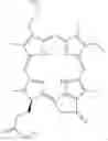 Fig. 118 - Epidermal growth factor receptor (EGFR) targeted photosensitizers