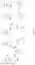 Fig. 16 - Epidermal growth factor receptor (EGFR) targeted photosensitizers