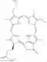 Fig. 52 - Epidermal growth factor receptor (EGFR) targeted photosensitizers