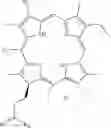Fig. 79 - Epidermal growth factor receptor (EGFR) targeted photosensitizers