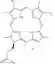 Fig. 88 - Epidermal growth factor receptor (EGFR) targeted photosensitizers