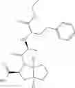 Fig. 40 - Pharmaceutical compositions comprising POH derivatives