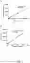 Fig. 14 - GLYCOPEPTIDE ANTIBIOTIC CONSTRUCTS