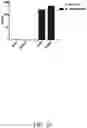 Fig. 19 - GLYCOPEPTIDE ANTIBIOTIC CONSTRUCTS