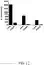 Fig. 21 - GLYCOPEPTIDE ANTIBIOTIC CONSTRUCTS