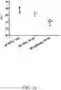 Fig. 26 - GLYCOPEPTIDE ANTIBIOTIC CONSTRUCTS