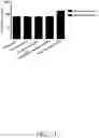 Fig. 33 - GLYCOPEPTIDE ANTIBIOTIC CONSTRUCTS