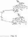 Fig. 42 - GLYCOPEPTIDE ANTIBIOTIC CONSTRUCTS