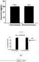 Fig. 47 - GLYCOPEPTIDE ANTIBIOTIC CONSTRUCTS