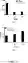 Fig. 48 - GLYCOPEPTIDE ANTIBIOTIC CONSTRUCTS