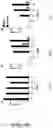Fig. 50 - GLYCOPEPTIDE ANTIBIOTIC CONSTRUCTS