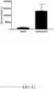 Fig. 53 - GLYCOPEPTIDE ANTIBIOTIC CONSTRUCTS
