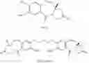 Fig. 08 - NEUROTENSIN RECEPTOR BINDING CONJUGATES AND FORMULATIONS THEREOF