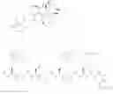 Fig. 132 - NEUROTENSIN RECEPTOR BINDING CONJUGATES AND FORMULATIONS THEREOF