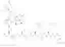 Fig. 137 - NEUROTENSIN RECEPTOR BINDING CONJUGATES AND FORMULATIONS THEREOF