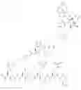 Fig. 141 - NEUROTENSIN RECEPTOR BINDING CONJUGATES AND FORMULATIONS THEREOF