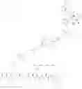 Fig. 142 - NEUROTENSIN RECEPTOR BINDING CONJUGATES AND FORMULATIONS THEREOF