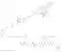 Fig. 144 - NEUROTENSIN RECEPTOR BINDING CONJUGATES AND FORMULATIONS THEREOF