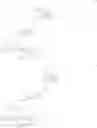 Fig. 28 - NEUROTENSIN RECEPTOR BINDING CONJUGATES AND FORMULATIONS THEREOF