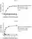 Fig. 02 - CONJUGATE WITH ATTENUATED IMMUNE RESPONSE