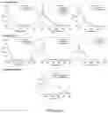 Fig. 05 - RENAL CLEARABLE DRUG DELIVERING NANOPARTICLES AND METHODS OF USE THEREFOR