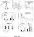 Fig. 06 - RENAL CLEARABLE DRUG DELIVERING NANOPARTICLES AND METHODS OF USE THEREFOR